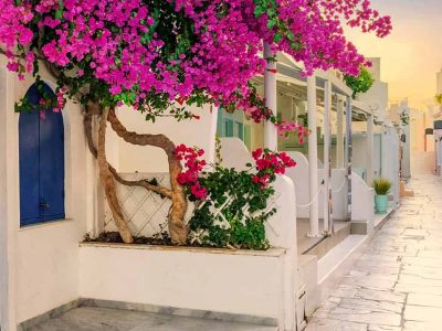 Santorini, paradisul vinului: Explorează magia insulei Thira și atracțiile sale fascinante