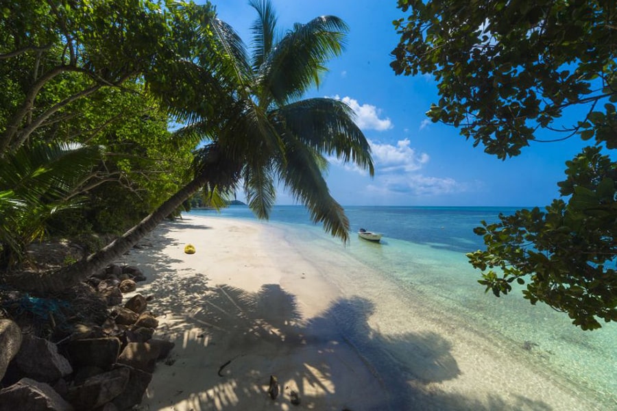 Seychelles – principalele atracții pe care trebuie să le vezi - Insula Curieuse