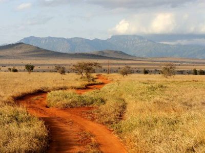 Kenya: Descoperă care este rolul tău în „cercul vieții” în timp ce pornești într-o aventură fascinantă în inima Africii