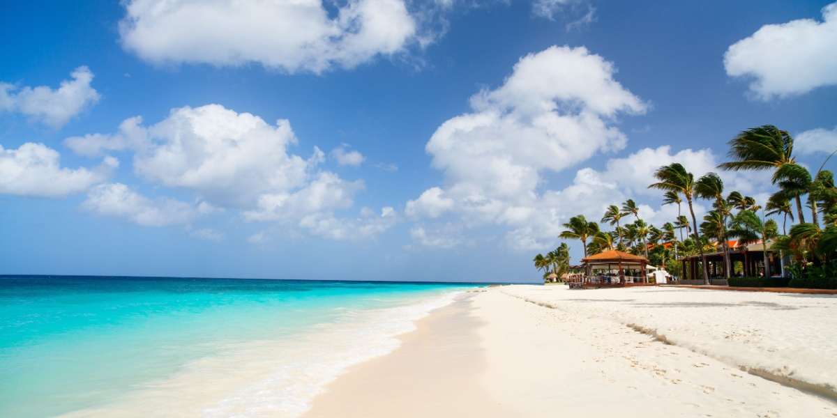 その他 Bonaire - A Tropical Desert  [DVD] Back on Bonaire: Rediscovering Diver's Paradise as a Father