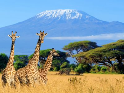 Kenya - 