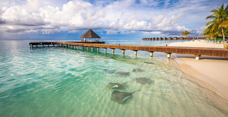 Pachet promo vacanta Sun Siyam Vilu Reef Dhaalu Atoll Maldive