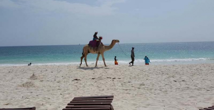 Southern Palms Beach Resort Coasta de Sud Mombasa