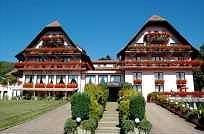 Pachet promo vacanta Hotel Des Vosges Klingenthal Elsass