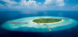 Maldive Alif Dhaal Atoll