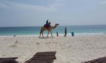 Southern Palms Beach Resort Mombasa Coasta de Sud Sejur si vacanta Oferta 2024