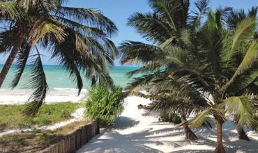 Pongwe Bay Resort Zanzibar Coasta de Sud-Est Sejur si vacanta Oferta 2022