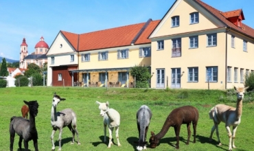 JUFA Pöllau Bio Landerlebnis-Resort Styria Pollau bei Hartberg Sejur si vacanta Oferta 2022 - 2023