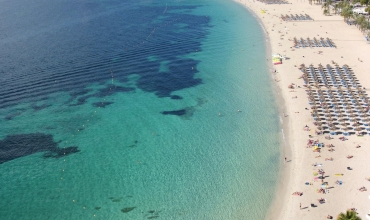 Hotel Bahia Principe Sunlight Coral Playa Palma de Mallorca Magaluf Sejur si vacanta Oferta 2022